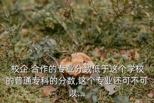  校企 合作的專業(yè)分?jǐn)?shù)低于這個(gè)學(xué)校的普通?？频姆?jǐn)?shù),這個(gè)專業(yè)還可不可以...