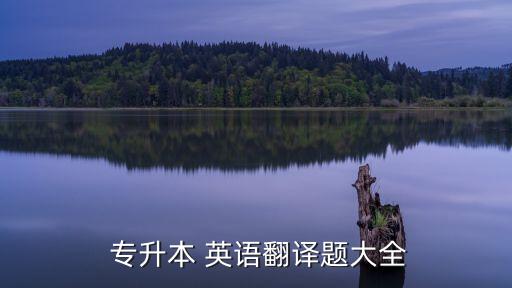  專(zhuān)升本 英語(yǔ)翻譯題大全