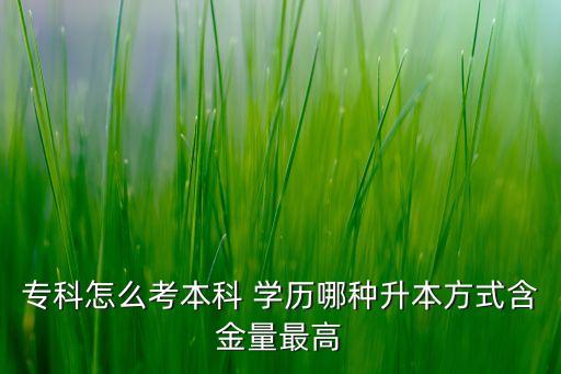 容易通過(guò)的專(zhuān)升本學(xué)歷,本校專(zhuān)升本容易嗎最后學(xué)歷算什么