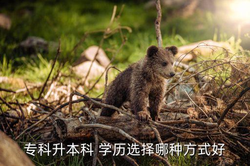 ?？粕究?學(xué)歷選擇哪種方式好