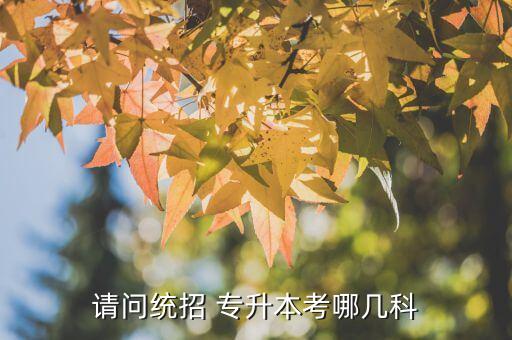請問統(tǒng)招 專升本考哪幾科