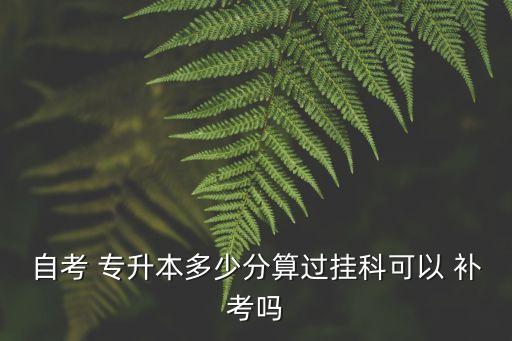 自考 專升本多少分算過掛科可以 補(bǔ)考嗎