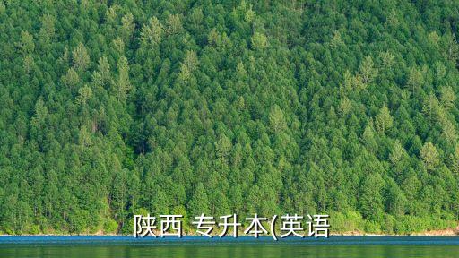  陜西 專升本(英語(yǔ)