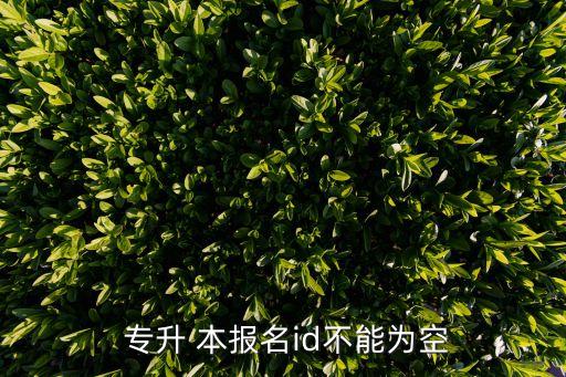 專升本報(bào)名ID號(hào)是啥
