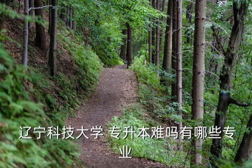 遼寧專升本市場營銷的牽頭學(xué)校,遼寧市場營銷專升本考什么科目