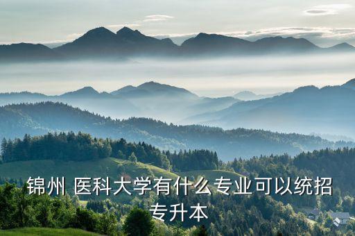  錦州 醫(yī)科大學有什么專業(yè)可以統(tǒng)招 專升本