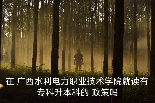 在 廣西水利電力職業(yè)技術(shù)學(xué)院就讀有?？粕究频?政策嗎