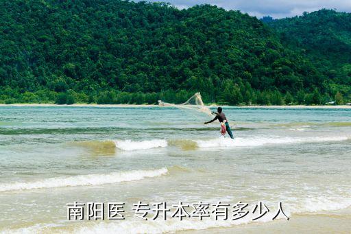 南陽(yáng)醫(yī)專影像專升本