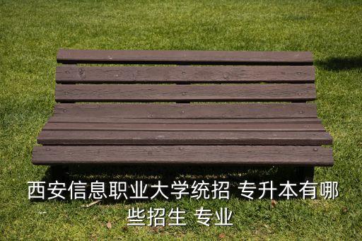 西安藝術(shù)類專升本院校有哪些專業(yè),重慶藝術(shù)類專升本院校