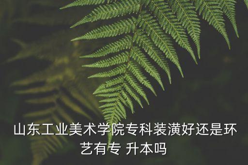  山東工業(yè)美術學院?？蒲b潢好還是環(huán)藝有專 升本嗎