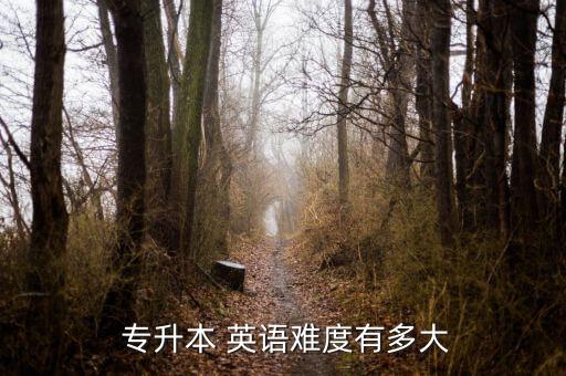  專升本 英語(yǔ)難度有多大