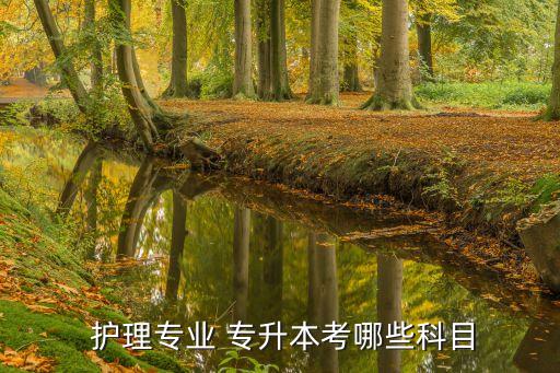  護理專業(yè) 專升本考哪些科目