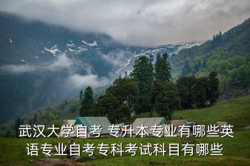  武漢大學(xué)自考 專升本專業(yè)有哪些英語專業(yè)自考?？瓶荚嚳颇坑心男? class=