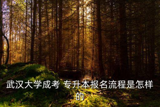 武漢大學(xué)成考 專升本報名流程是怎樣的