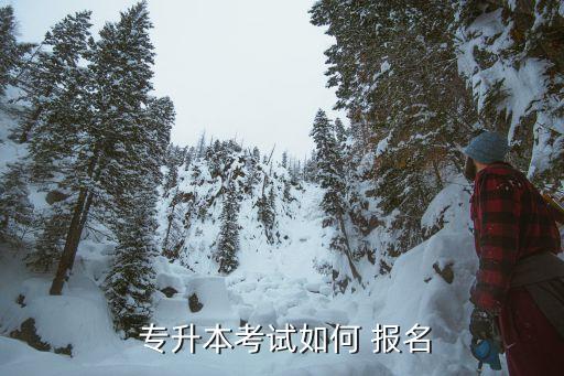  專升本考試如何 報名