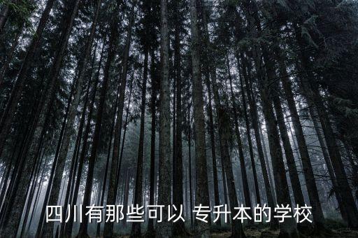 四川有那些可以 專(zhuān)升本的學(xué)校