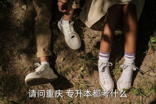 請(qǐng)問(wèn)重慶 專升本都考什么