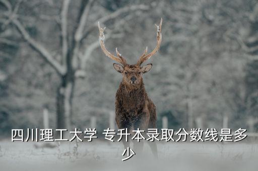 四川理工大學(xué) 專(zhuān)升本錄取分?jǐn)?shù)線(xiàn)是多少