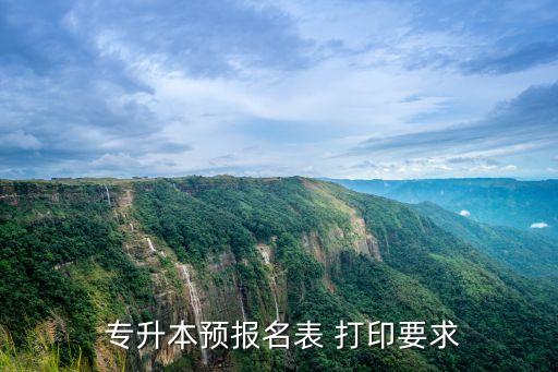  專升本預(yù)報名表 打印要求