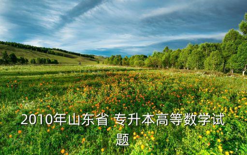 2010年山東省 專升本高等數(shù)學試題