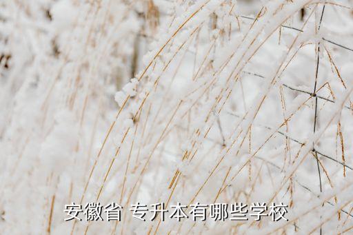 安徽省 專升本有哪些學(xué)校