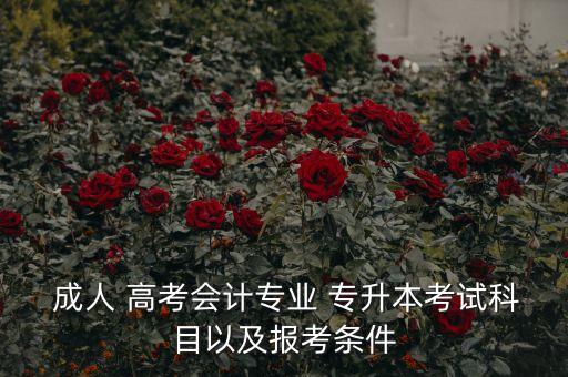  成人 高考會(huì)計(jì)專業(yè) 專升本考試科目以及報(bào)考條件