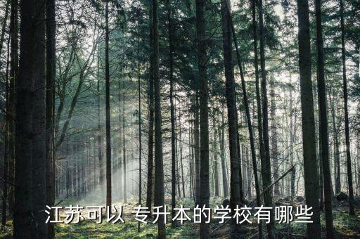 南京大學(xué)有沒有專升本