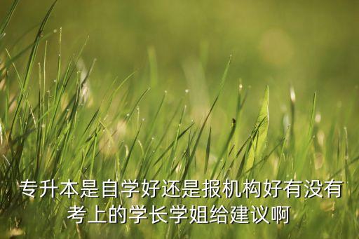  專升本是自學好還是報機構(gòu)好有沒有考上的學長學姐給建議啊