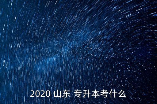 2020 山東 專升本考什么