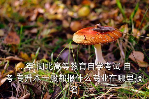 ...年 湖北高等教育自學考試 自考 專升本一般都報什么專業(yè)在哪里報名