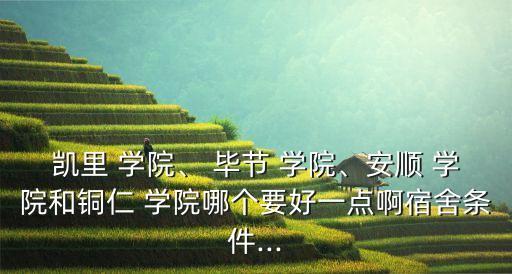 凱里 學(xué)院、 畢節(jié) 學(xué)院、安順 學(xué)院和銅仁 學(xué)院哪個(gè)要好一點(diǎn)啊宿舍條件...