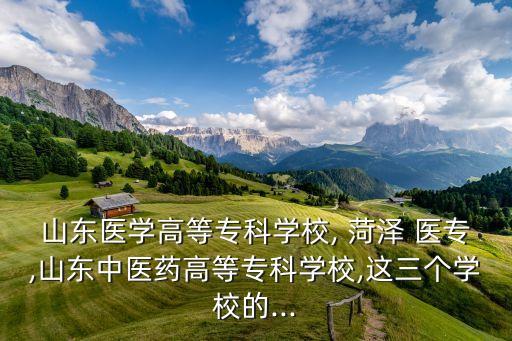 山東醫(yī)學(xué)高等?？茖W(xué)校, 菏澤 醫(yī)專,山東中醫(yī)藥高等?？茖W(xué)校,這三個(gè)學(xué)校的...