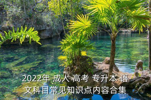 成人高考專(zhuān)升本語(yǔ)文復(fù)習(xí)資料