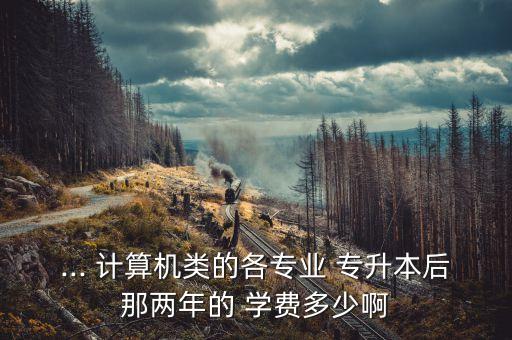 ... 計(jì)算機(jī)類的各專業(yè) 專升本后那兩年的 學(xué)費(fèi)多少啊