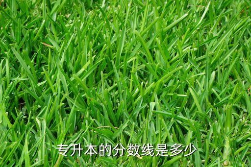 2017專升本英語(yǔ)提檔線