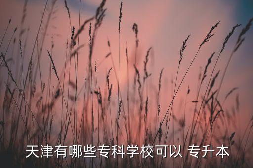 天津有哪些專(zhuān)科學(xué)?？梢?專(zhuān)升本