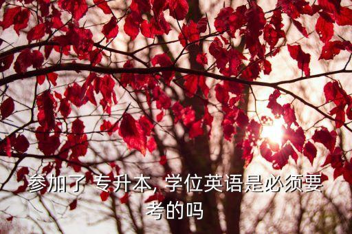 參加了 專(zhuān)升本, 學(xué)位英語(yǔ)是必須要考的嗎