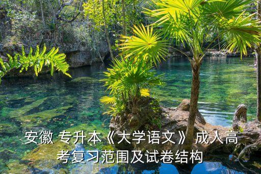  安徽 專升本《大學(xué)語文》 成人高考復(fù)習(xí)范圍及試卷結(jié)構(gòu)