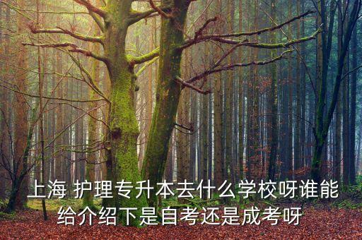  上海 護理專升本去什么學校呀誰能給介紹下是自考還是成考呀