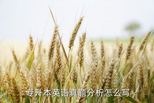  專(zhuān)升本英語(yǔ)真題分析怎么寫(xiě)
