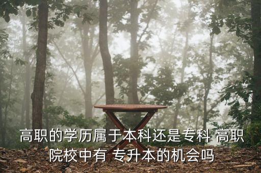  高職的學(xué)歷屬于本科還是?？?高職 院校中有 專升本的機(jī)會(huì)嗎