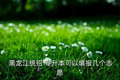 2016年黑龍江專升本招生計劃,黑龍江工業(yè)學(xué)院專升本招生計劃