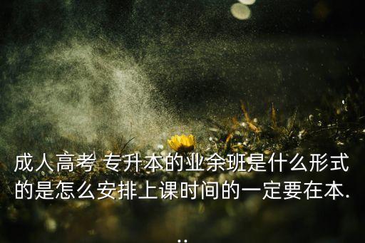 成人高考 專升本的業(yè)余班是什么形式的是怎么安排上課時(shí)間的一定要在本...