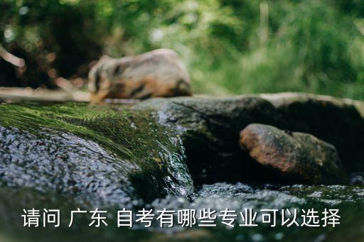 請問 廣東 自考有哪些專業(yè)可以選擇