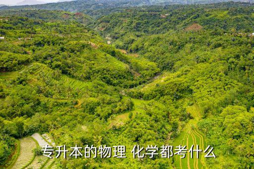 專(zhuān)升本的物理 化學(xué)都考什么