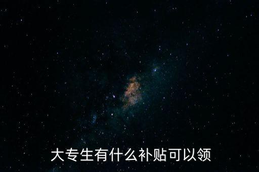  大專生有什么補貼可以領