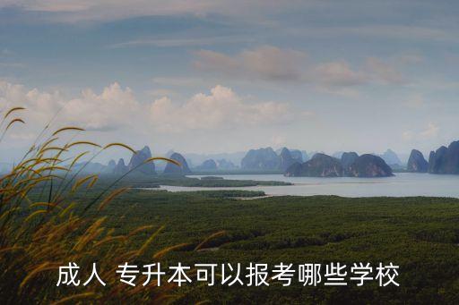 成人 專升本可以報(bào)考哪些學(xué)校