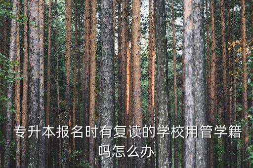  專升本報名時有復(fù)讀的學(xué)校用管學(xué)籍嗎怎么辦