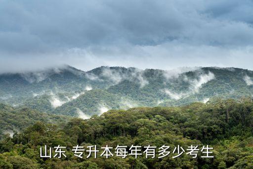 山東省專升本科計劃,鶴壁職業(yè)技術(shù)學院升本科計劃