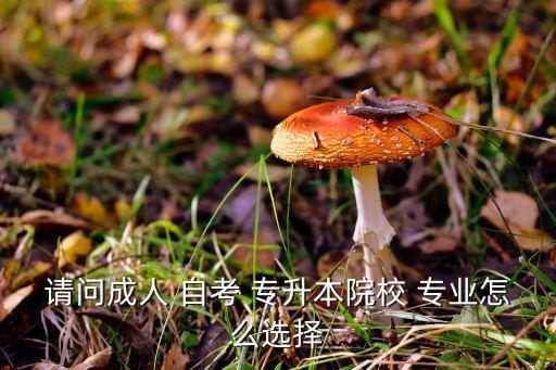 請(qǐng)問成人 自考 專升本院校 專業(yè)怎么選擇